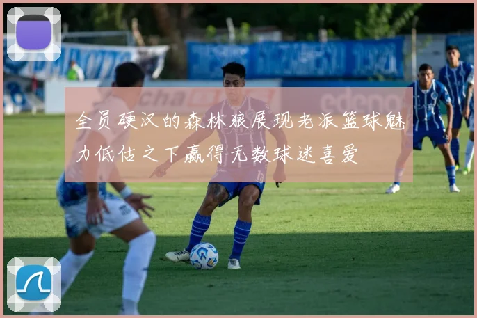 全员硬汉的森林狼展现老派篮球魅力低估之下赢得无数球迷喜爱